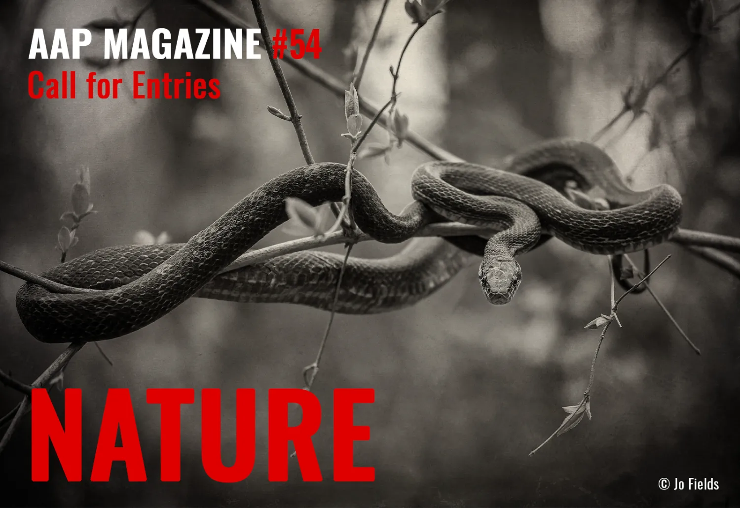 AAP Magazine 54 Nature