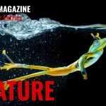 AAP Magazine Nature 2 - Deartline AAP Magazine Nature