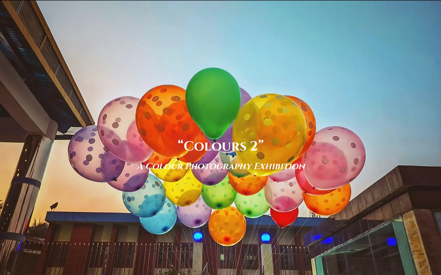 Colours 2 by Carlotta Gallery