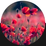 Floral Art Competition by Artist Space Gallery 8 - Deartline Floral Art Competition by Artist Space Gallery