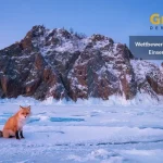 Glanzlichter of Nature Photography 2026