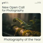 Photography of the Year 2025 by Grid Photo Gallery