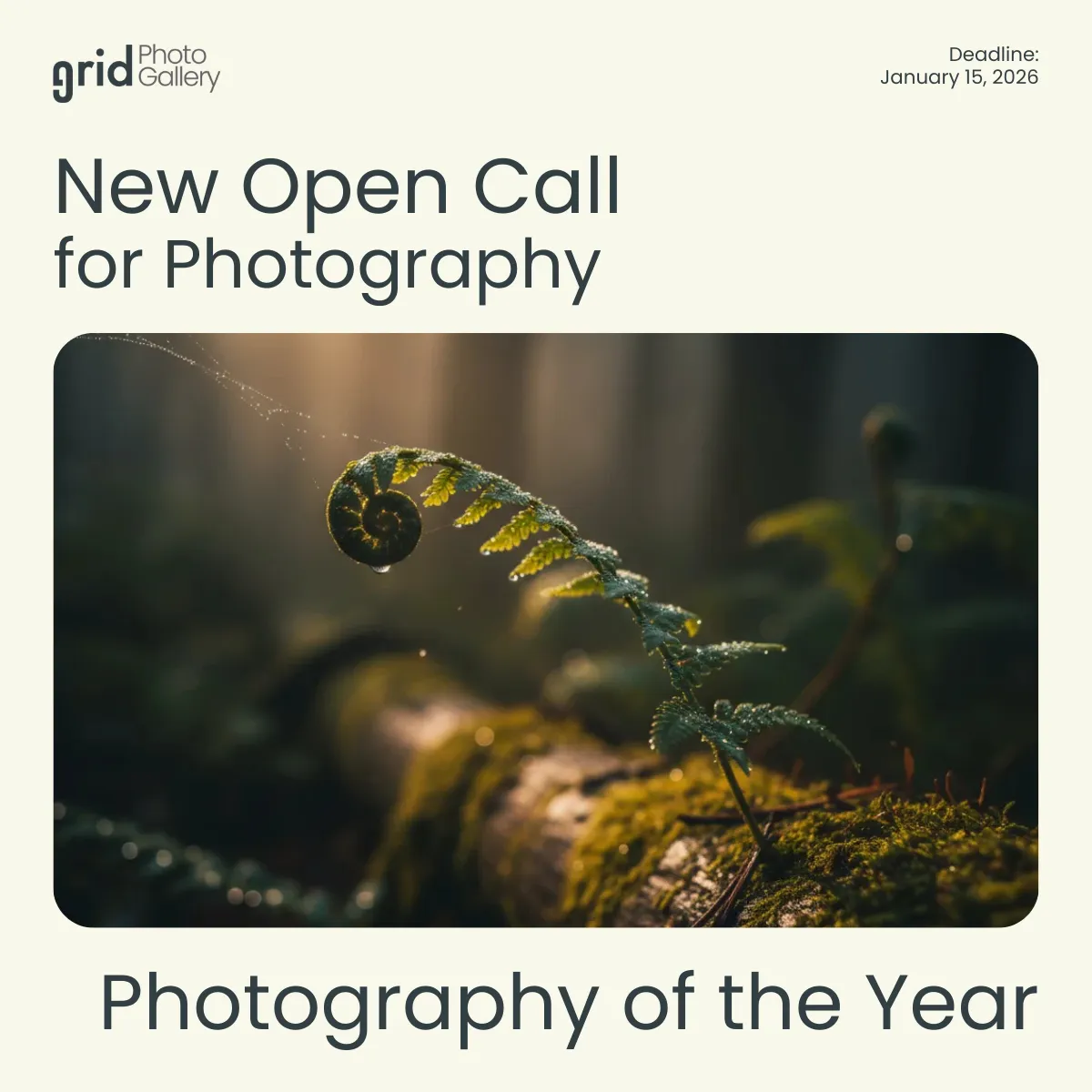 Photography of the Year 2025 by Grid Photo Gallery