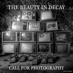 The Beauty in Decay 2026 by The Chateau Gallery