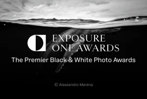 Deartline 102 - Deartline Exposure One Awards One Shot Photo Contest 2026