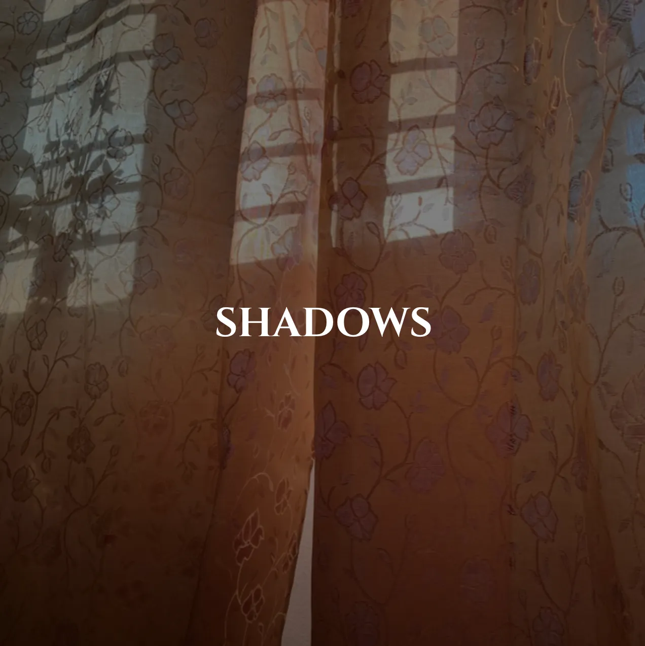 Shadows by Carlotta Gallery 2 - Deartline Shadows by Carlotta Gallery