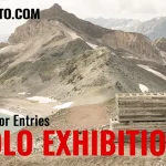 All About Photo Solo Exhibition July 2026 19 - Deartline All About Photo Solo Exhibition July 2026