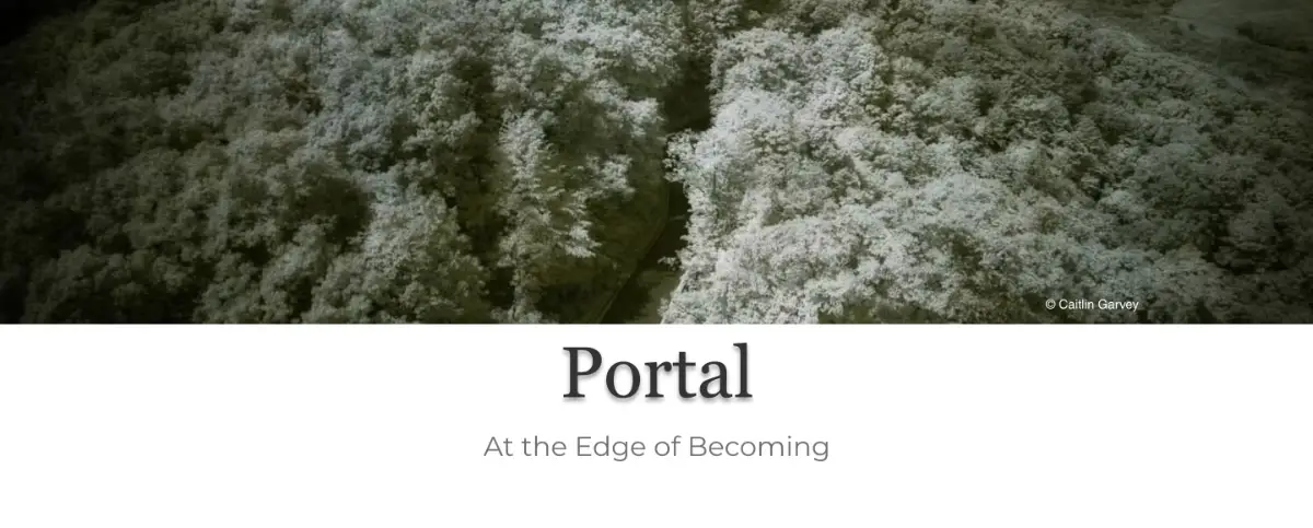 Portal by Decagon Gallery