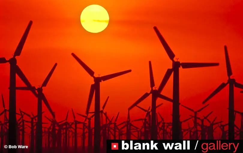 Red by Blank Wall Gallery 2 - Deartline Red by Blank Wall Gallery