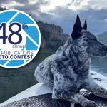 AKC Photo Contest 2026