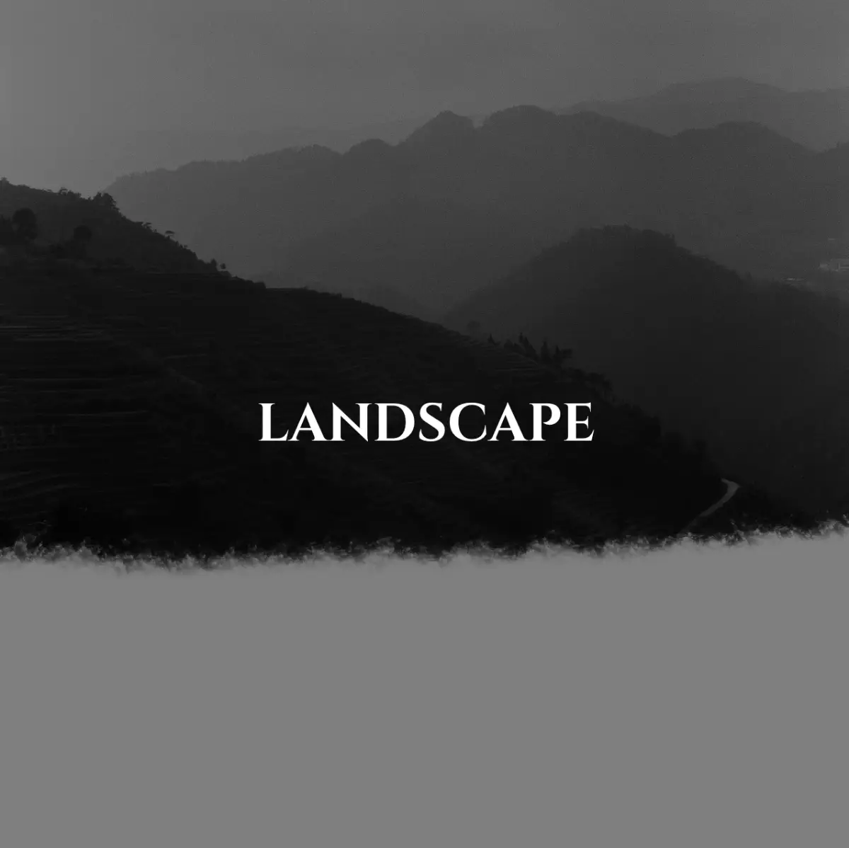 Landscape Photography by Carlotta Gallery