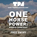 One Horse Power: Photo Contest 2026 9 - Deartline One Horse Power: Photo Contest 2026