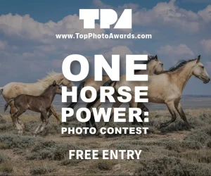 One Horse Power - Photo Contest 2026