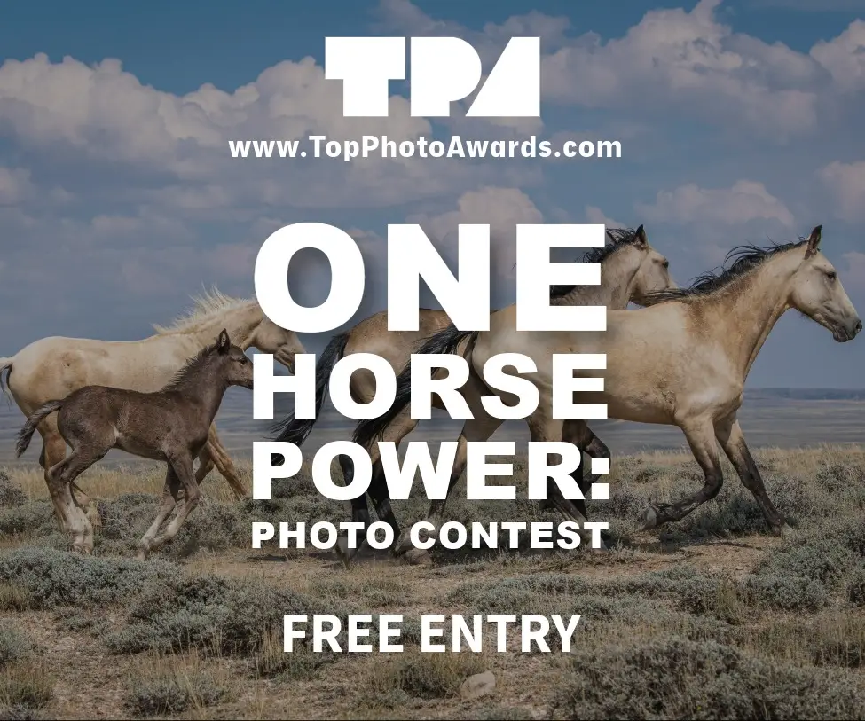 One Horse Power - Photo Contest 2026