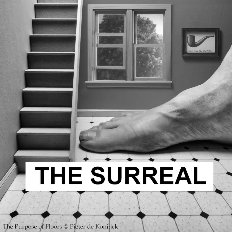The Surreal by The Chateau Gallery