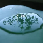 Water & Sky by Praxis Gallery