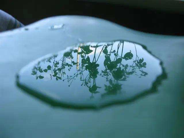 Water & Sky by Praxis Gallery
