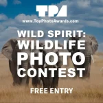 Wild Spirits: Wildlife Photography Contest