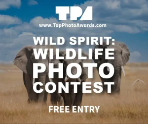 Wild Spirits- Wildlife Photography Contest 2026