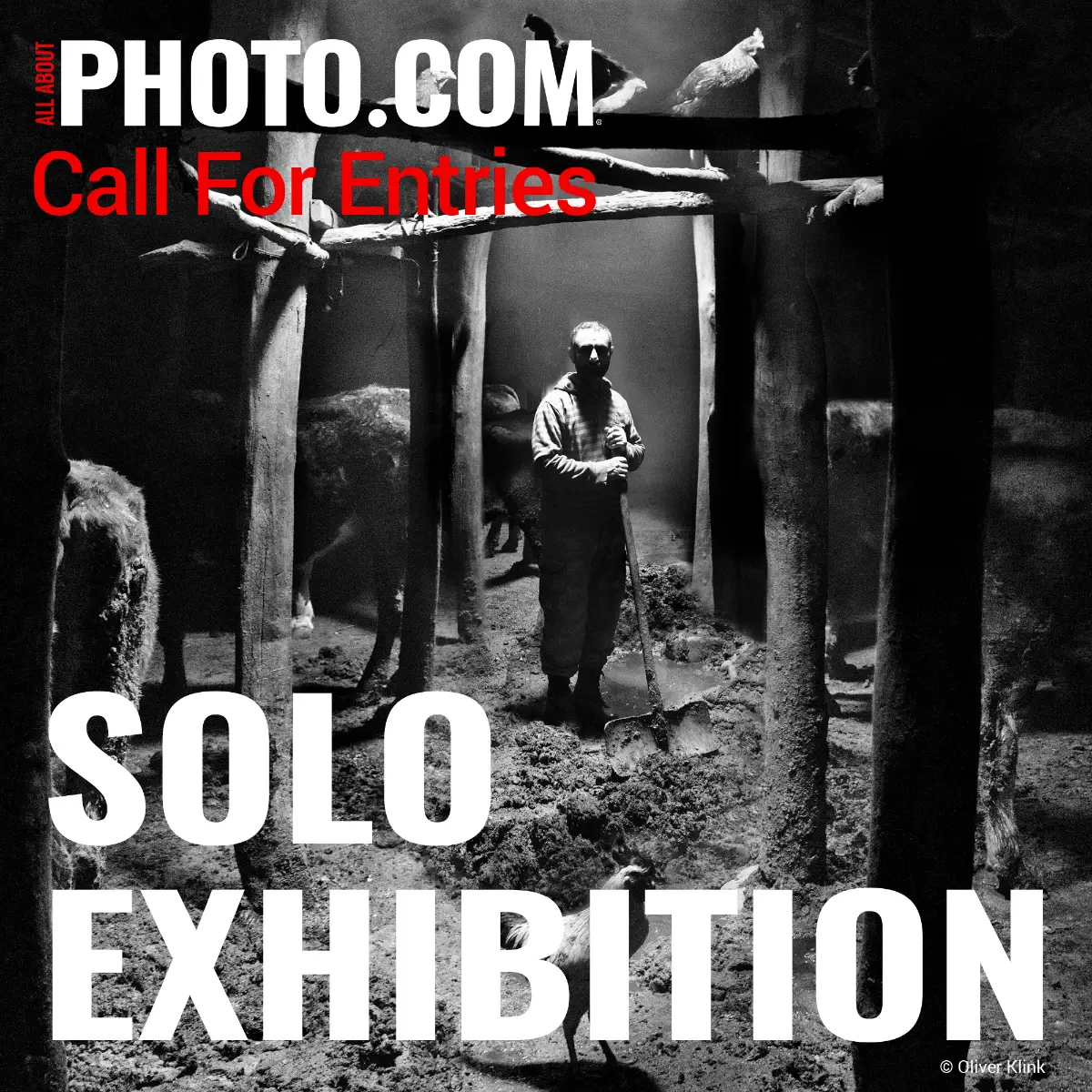All About Photo Solo Exhibition October 2026