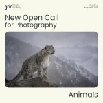 Animals 2026 Open Call by Grid Photo Gallery