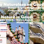 Nature in Gaudí. Ángeles Omedas Millan Prize 2026 8 - Deartline Nature in Gaudí. Ángeles Omedas Millan Prize 2026