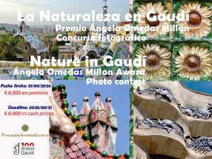 Nature in Gaudí. Ángeles Omedas Millan Prize 2026
