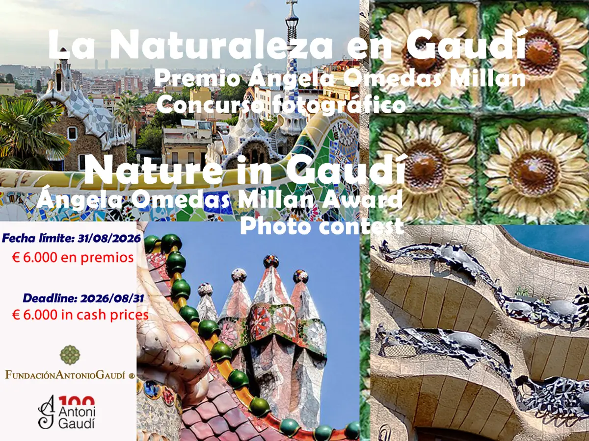 Nature in Gaudí. Ángeles Omedas Millan Prize 2026 2 - Deartline Nature in Gaudí. Ángeles Omedas Millan Prize 2026