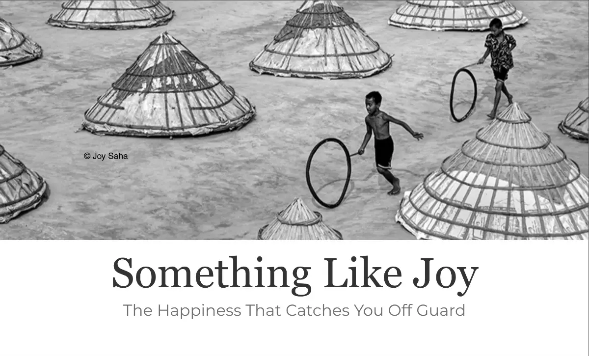 Something Like Joy by Decagon Gallery 2 - Deartline Something Like Joy by Decagon Gallery