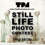 Still Life Photo Contest by Top Photo Awards