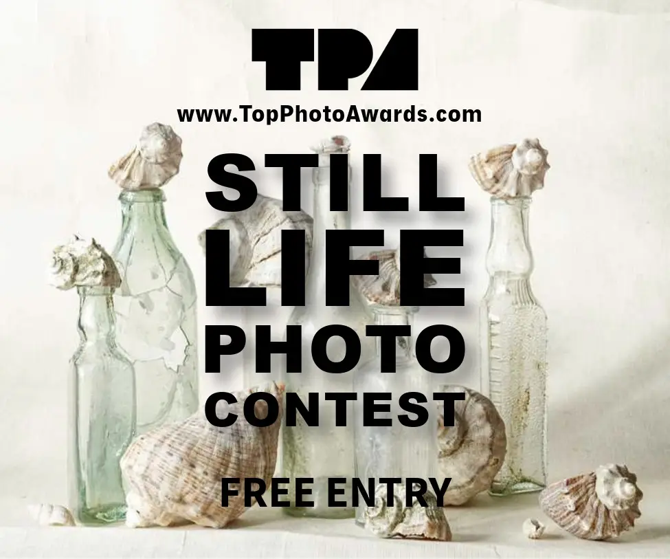 Still Life Photo Contest by Top Photo Awards