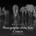 Exposure One Awards Photographer of the Year 2026 13 - Deartline Exposure One Awards Photographer of the Year 2026