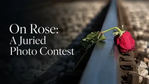 On Rose- Photo Contest 2026