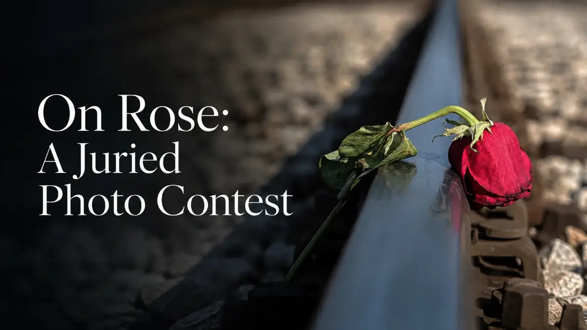On Rose: Photo Contest