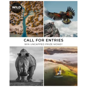 Deartline 101 - Deartline Wild Photo Awards