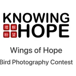 Wings of Hope Bird Photography Contest 5 - Deartline Wings of Hope Bird Photography Contest
