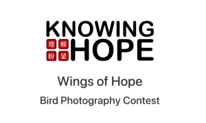 Wings of Hope Bird Photography Contest