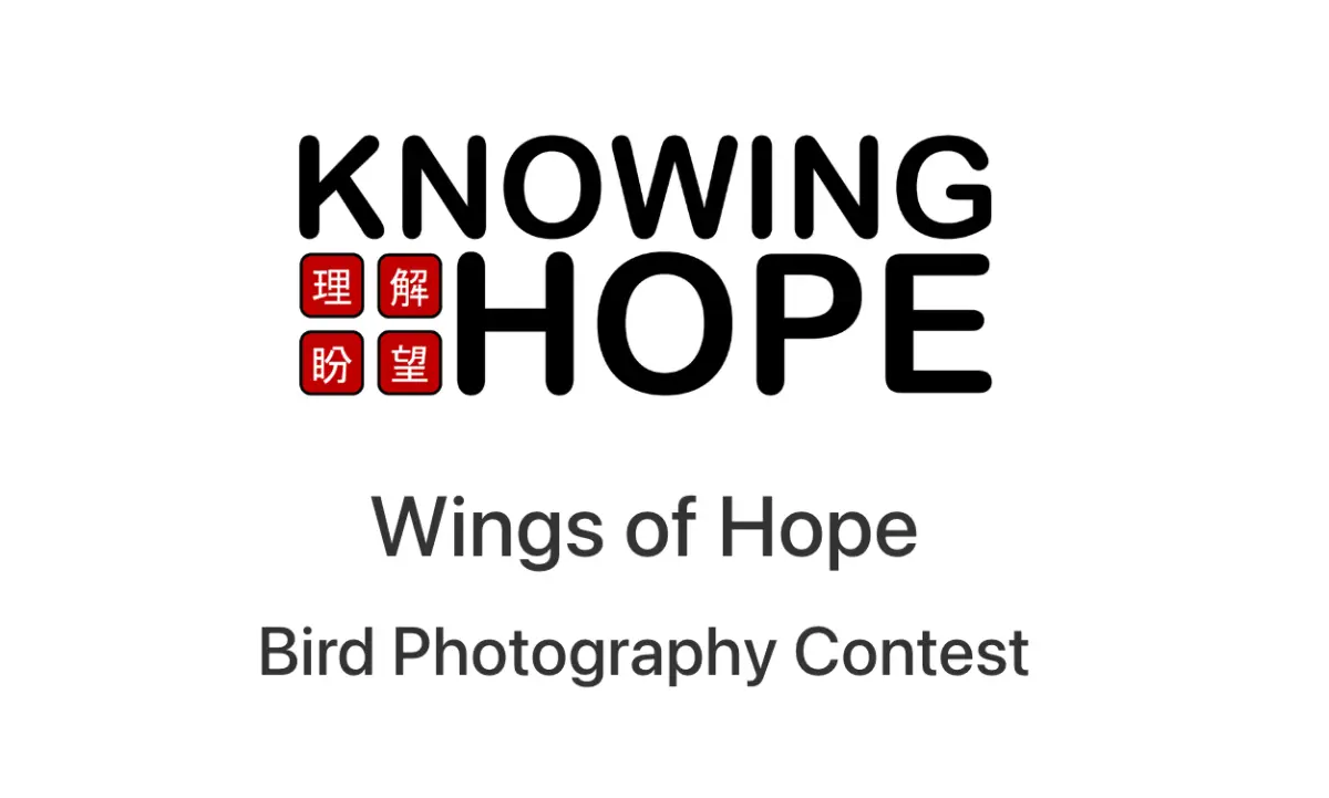 Wings of Hope Bird Photography Contest 2 - Deartline Wings of Hope Bird Photography Contest