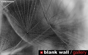 Still Life by Blank Wall Gallery 2026