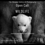 Wildlife by The Glasgow Gallery of Photography