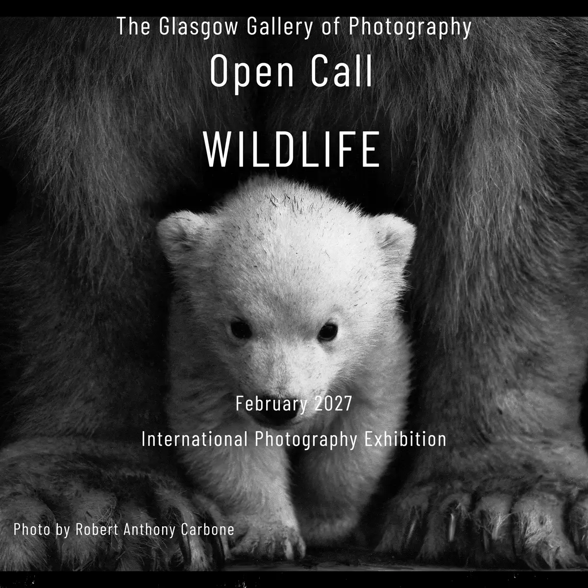 Wildlife by The Glasgow Gallery of Photography