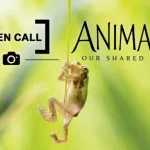 Animalia: Our Shared World 9 - Deartline Animalia: Our Shared World