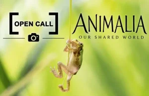 Deartline 1 - Deartline Animalia- Our Shared World