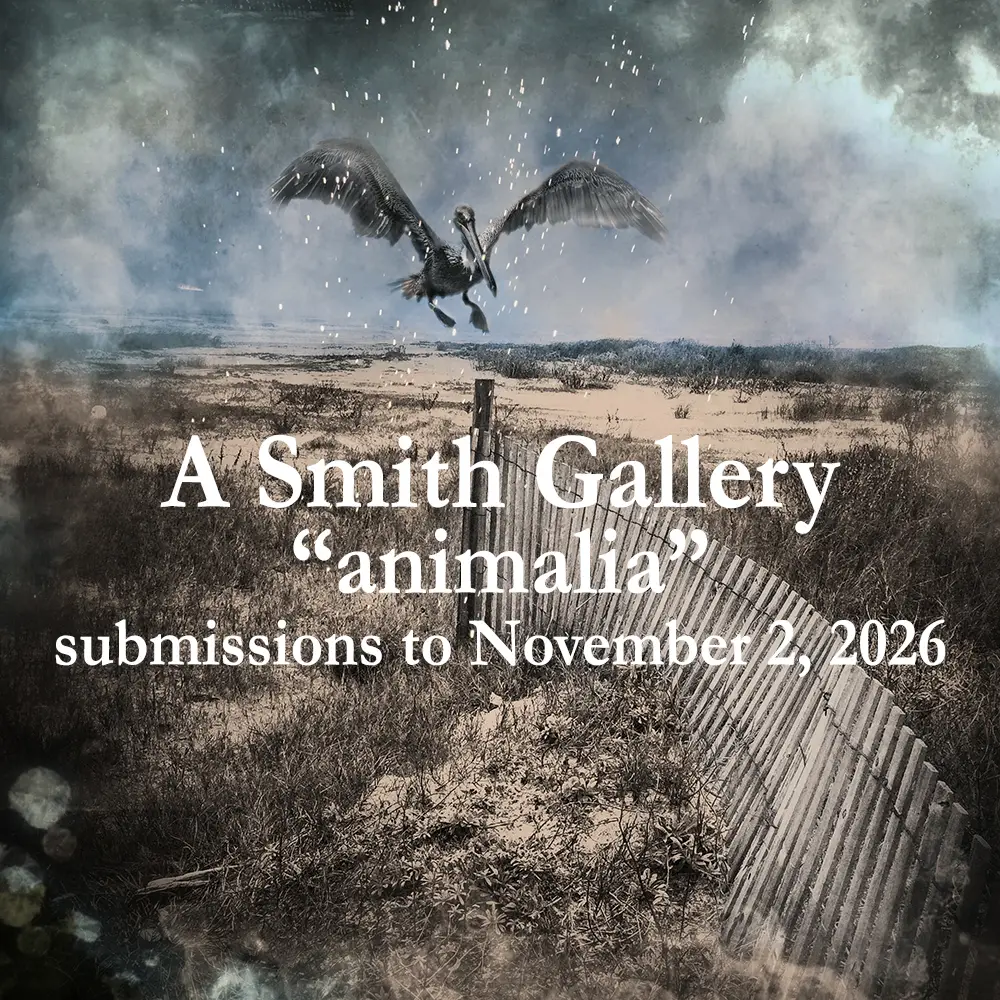 Animalia by A Smith Gallery 2 - Deartline Animalia by A Smith Gallery