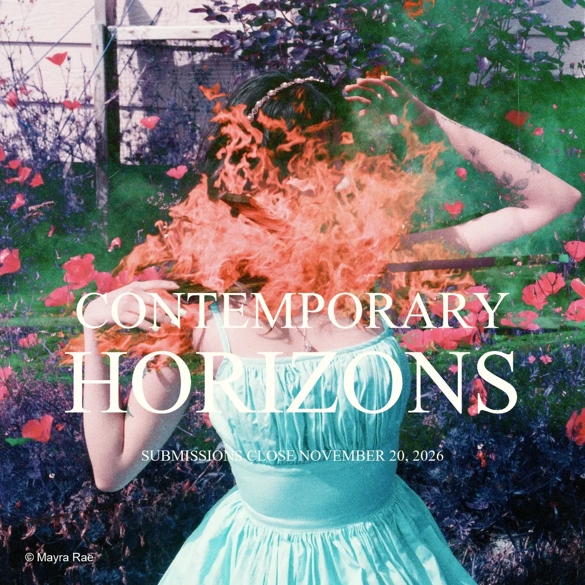Contemporary Horizons by TCG Gallery 2026