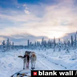 Winter by Blank Wall Gallery 2026