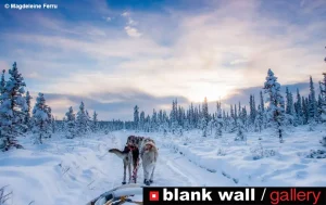 Winter by Blank Wall Gallery 2026